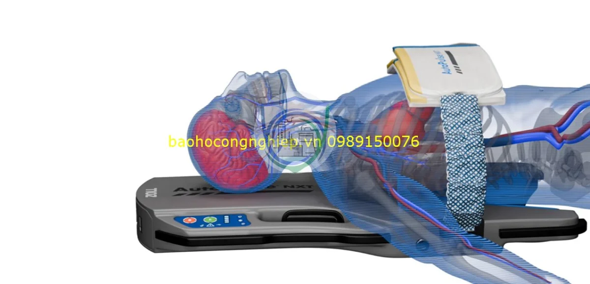 ap-nxt-cpr-blood-perfusion-4k-file-frame-0ms-1272x613-b_baohocongnghiep